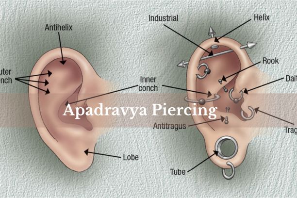 Apadravya piercing illustration with jewelry placement.